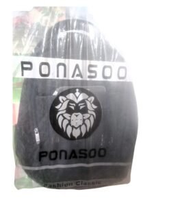 Ponasoo Classy BackPack Bag vsonic