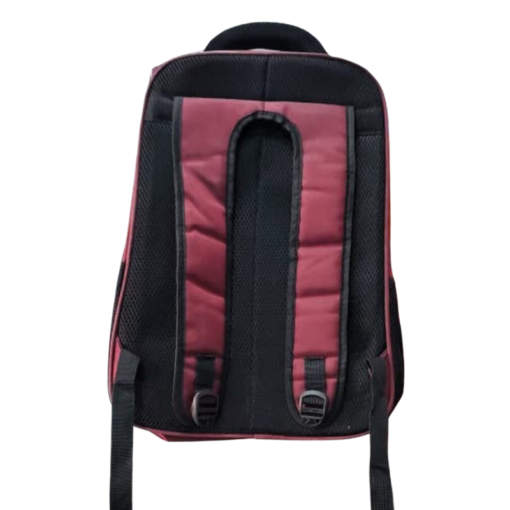 Stylish HP Power Wine Colour Backpack Bag vsonic