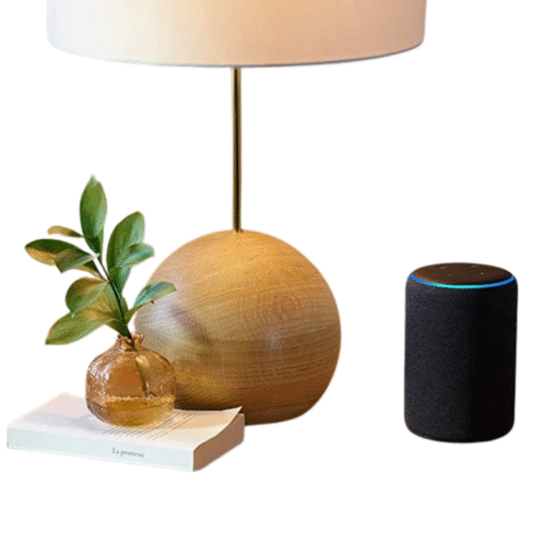 Amazon Echo Plus 2 Speaker -Charcoal vsonic
