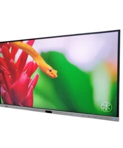 Fujitsu Ultra HD Gaming Monitor vsonic