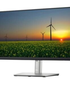 DELL P2222H 21.5 Inch Monitor 1920 x 1080 Resolution vsonic