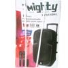 MIGHTY Sound Enhancer 15 inch Professional Audio and Portable Party Speaker Vsonic